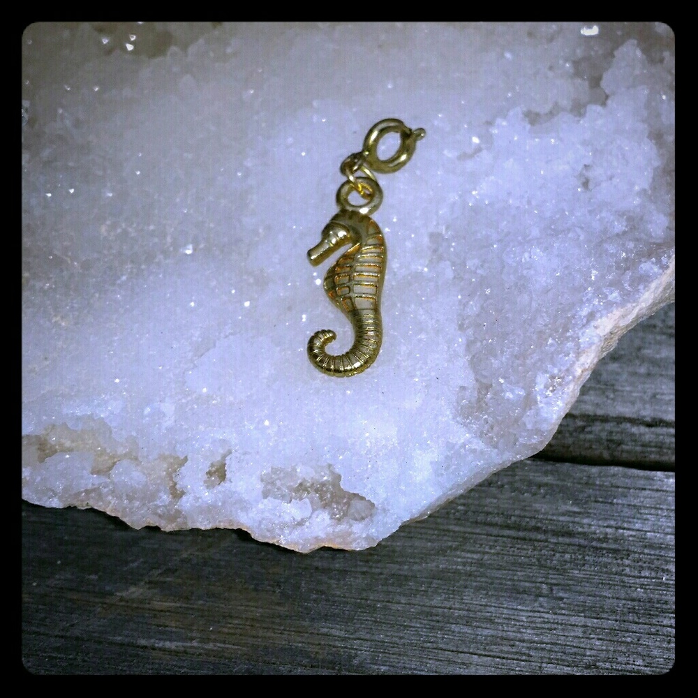 Gold Seahorse Charm